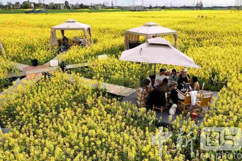 春日消费新风貌，体验升级带动文旅热潮。