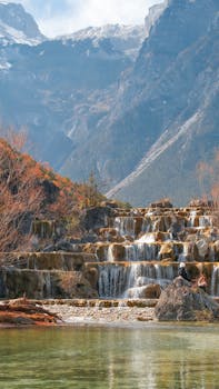  早泥盆世多鳃鱼类演化新证据；短耳鸮甲鱼化石揭示过渡形态。 文化旅游