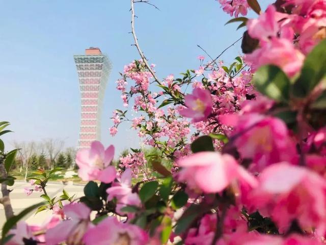 硬核拆解:咸阳春日四大主题线路的底层逻辑与实战价值 文化旅游 硬核拆解:咸阳春日四大主题线路的底层逻辑与实战价值 文化旅游