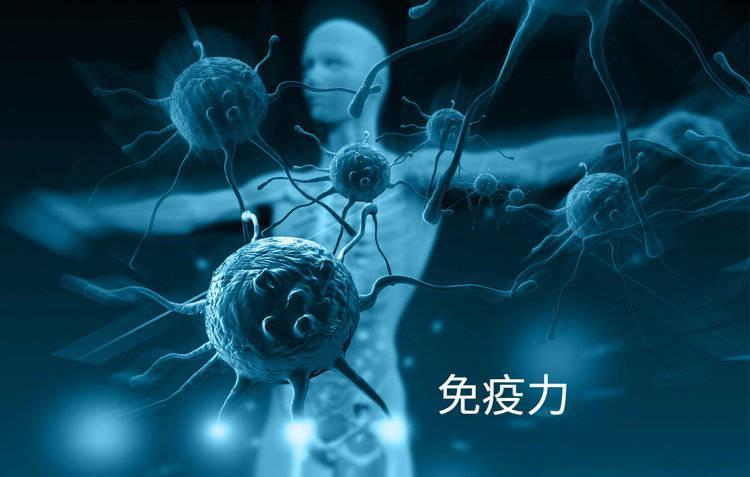 血型不是命运的判决书,而是身体在轻声告诉你什么 健康养生