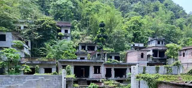  【地理探秘】深山无人村覆灭全记录：从500人聚落到自然演替的完整时间线 文化旅游