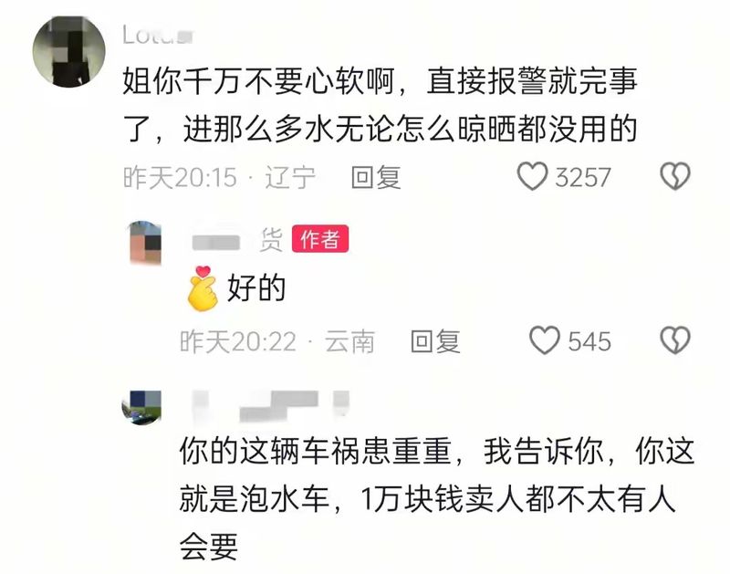  新能源汽车防水安全深度解析：泼水节事件背后的技术真相与法律责任 汽车科技 新能源汽车防水安全深度解析：泼水节事件背后的技术真相与法律责任 汽车科技