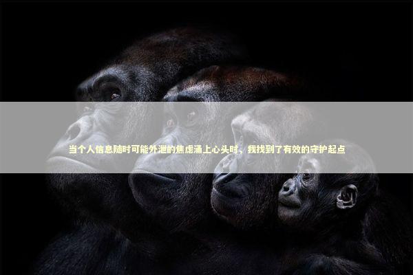 当个人信息随时可能外泄的焦虑涌上心头时，我找到了有效的守护起点