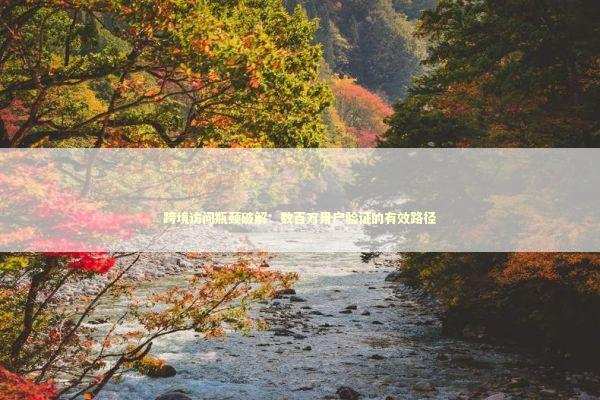 跨境访问瓶颈破解：数百万用户验证的有效路径 新闻