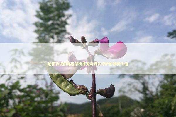 加密协议的深度架构探究与隐私守护的独特价值