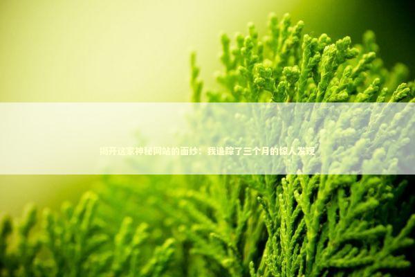 揭开这家神秘网站的面纱：我追踪了三个月的惊人发现 IT技术