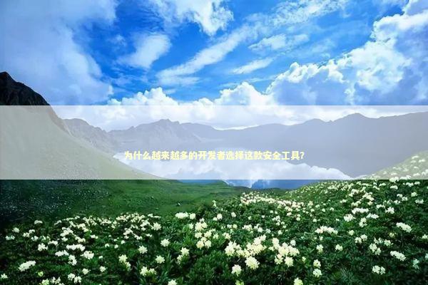 为什么越来越多的开发者选择这款安全工具？ IT技术