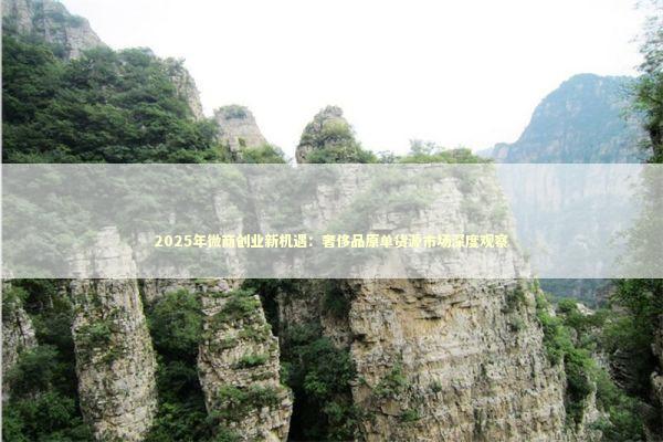 2025年微商创业新机遇：奢侈品原单货源市场深度观察