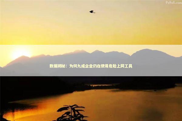 数据揭秘：为何九成企业仍在使用危险上网工具 IT技术