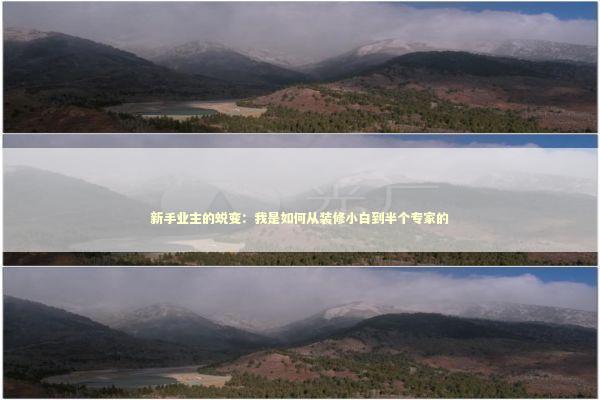 新手业主的蜕变:我是如何从装修小白到半个专家的 新手业主的蜕变:我是如何从装修小白到半个专家的 房产家居
